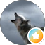 Andreas Holfelder Avatar